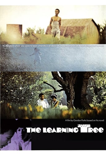 The Learning Tree stream