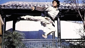 Die Zwillingsbrüder von Bruce Lee foto 0