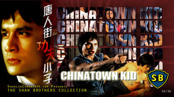 Der Kung Fu-Fighter von Chinatown foto 1