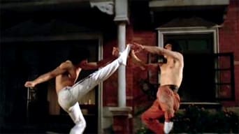 Die Todesfalle der Shaolin foto 3