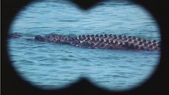 Horror-Alligator foto 1