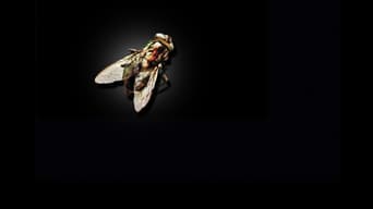 Die Fliege foto 1