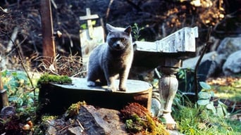 Friedhof der Kuscheltiere foto 2