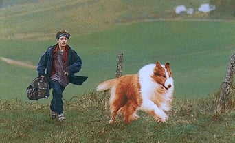 Lassie foto 0
