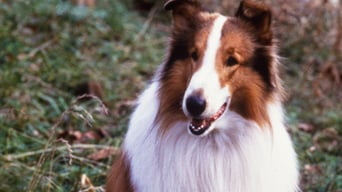 Lassie foto 1