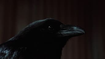 The Crow – Die Krähe foto 15