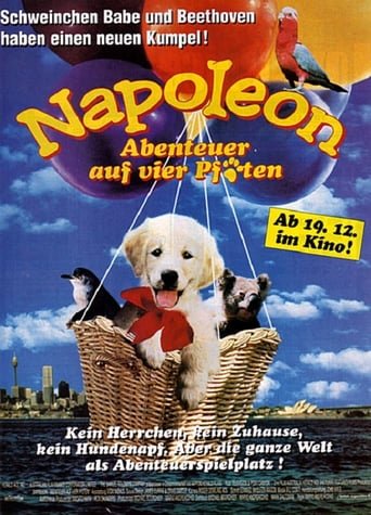 Napoleon – Abenteuer auf vier Pfoten stream