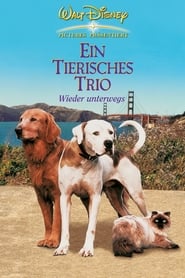 Ein tierisches Trio – Wieder unterwegs