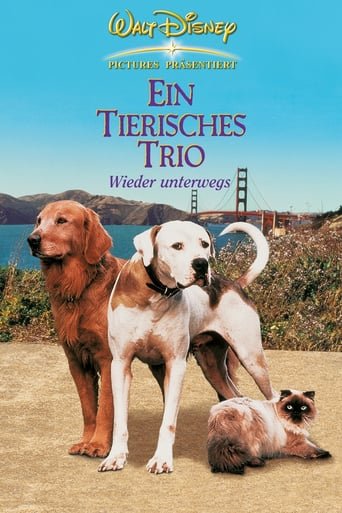 Ein tierisches Trio – Wieder unterwegs stream