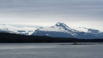 Alaska – Die Spur des Polarbären foto 0