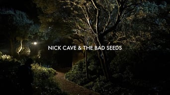 Nick Cave and The Bad Seeds: The Videos foto 0