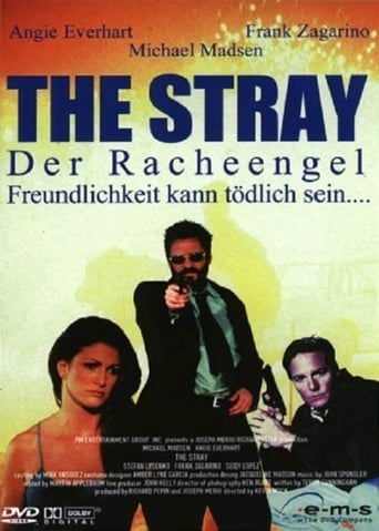 The Stray – Der Racheengel stream