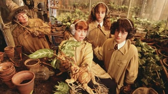 Harry Potter und die Kammer des Schreckens foto 15