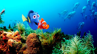 Findet Nemo foto 19