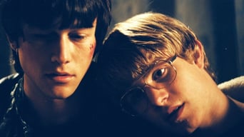 Mysterious Skin foto 2