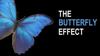 Butterfly Effect foto 17