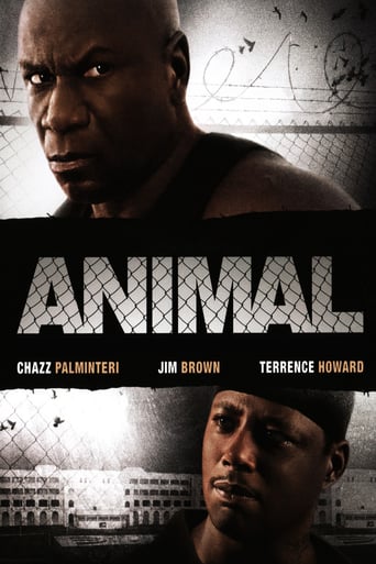 Animal – Gewalt hat einen Namen stream