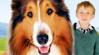 Lassie kehrt zurück foto 3