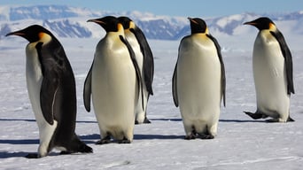 Die Reise der Pinguine foto 3