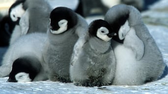 Die Reise der Pinguine foto 2
