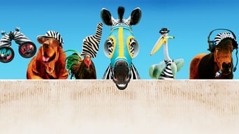 Im Rennstall ist das Zebra los foto 1