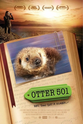 Otter 501 stream