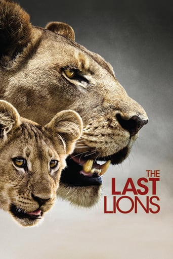 The Last Lions stream