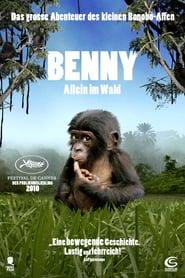 Benny – Allein im Wald