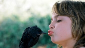 Kauwboy – Kleiner Vogel, großes Glück foto 3