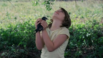 Kauwboy – Kleiner Vogel, großes Glück foto 4