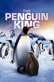 Ein Pinguin kommt selten allein