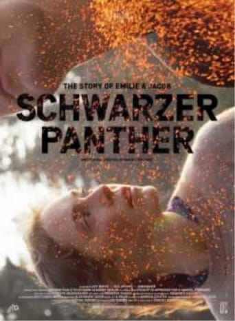 Schwarzer Panther stream