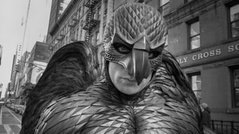 Birdman oder (Die unverhoffte Macht der Ahnungslosigkeit) foto 14