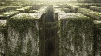 Maze Runner – Die Auserwählten im Labyrinth foto 1