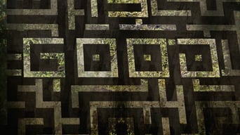 Maze Runner – Die Auserwählten im Labyrinth foto 21