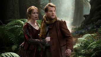 Into the Woods foto 2