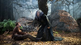 Into the Woods foto 8