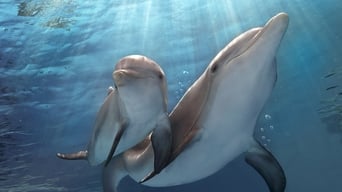 Mein Freund, der Delfin 2 foto 5