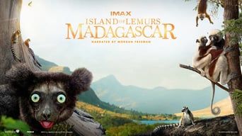 Wildes Madagaskar – Die Insel der Lemuren foto 12