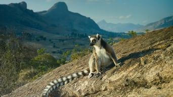 Wildes Madagaskar – Die Insel der Lemuren foto 2