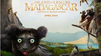 Wildes Madagaskar – Die Insel der Lemuren foto 14