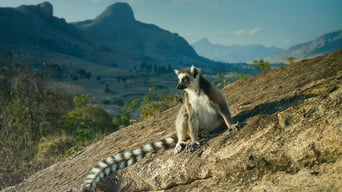 Wildes Madagaskar – Die Insel der Lemuren foto 3