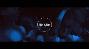 Bonobo – The North Borders Tour – Live foto 0