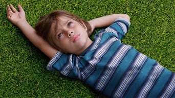 Boyhood foto 1