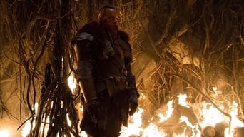 The Last Witch Hunter foto 13