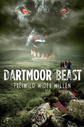 Dartmoor Beast stream