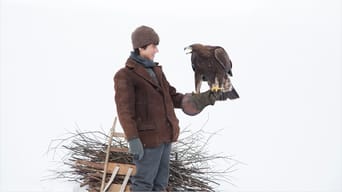 Wie Brüder im Wind foto 5