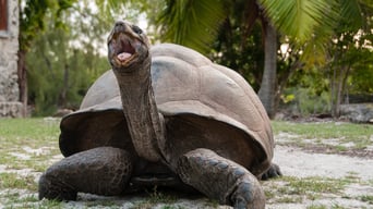 Aldabra: Once Upon an Island foto 0
