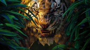 The Jungle Book foto 23