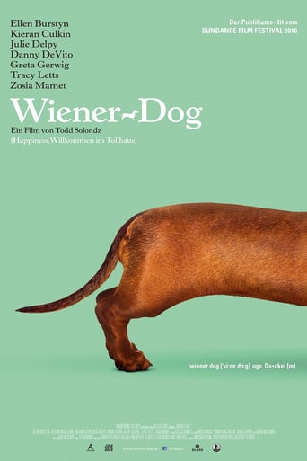 Wiener Dog stream
